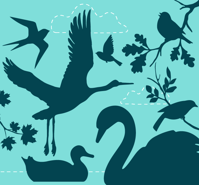 Movement for Good - Swan holiday card