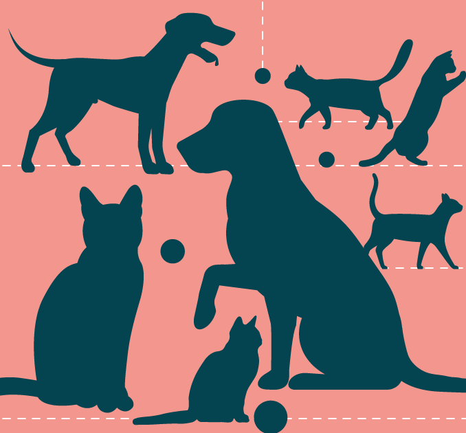Domestic pets illustration