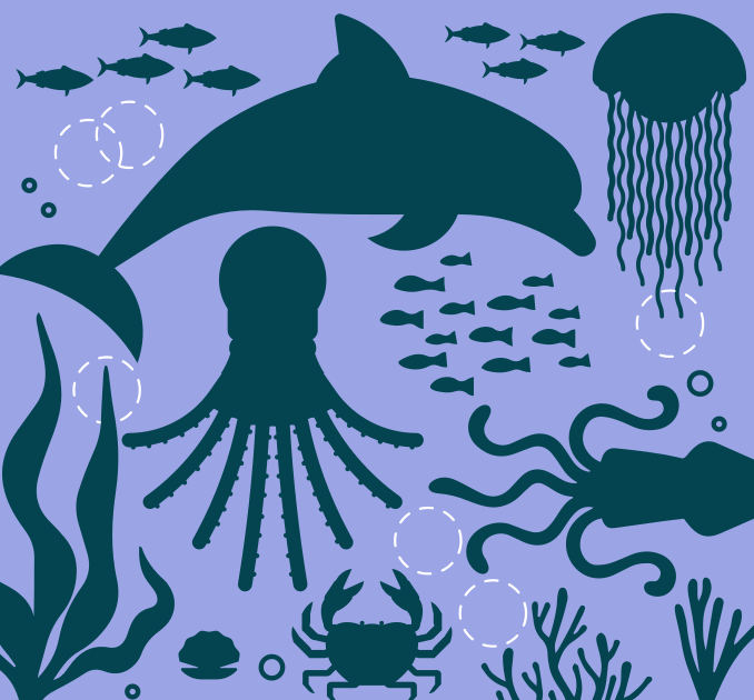 Sea life illustration