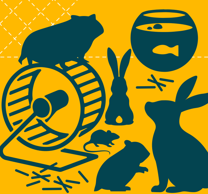Small domestic animals illustration
